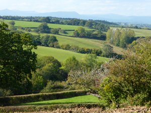 Cwmcarvan Valley